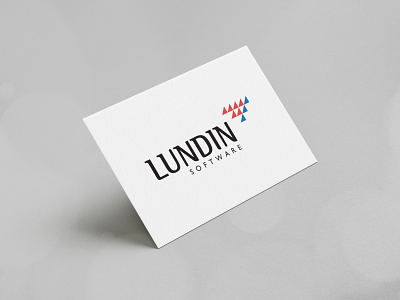 Lundin Software brand identity branding business corporate design logo modern