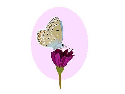 Butterfly on Flower art butterfly flower illustration illustrator pink vector