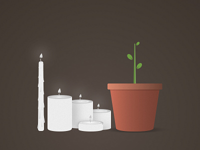 Candles & Plant | Sketch freebie illustration