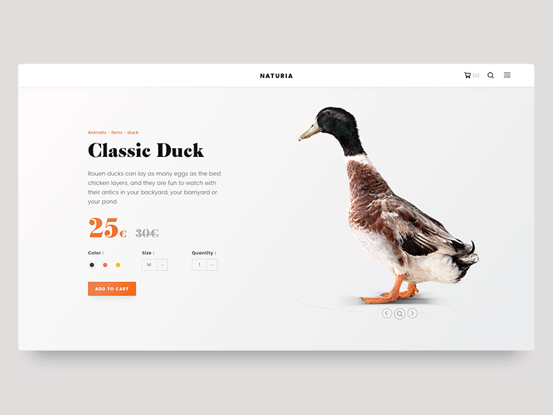 Minimalist Product Page animation clean duck ecommerce minimalist page price principle product rotate ui white