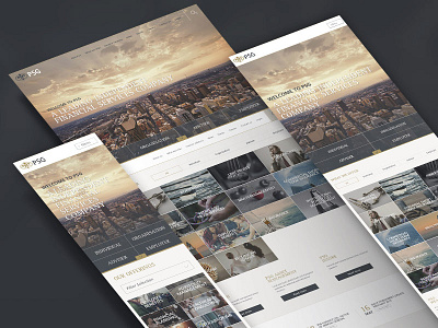 PSG Landing adviser financial landing overview responsive website