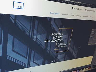 European Consulting Centre design layout theme web web design webdesign website