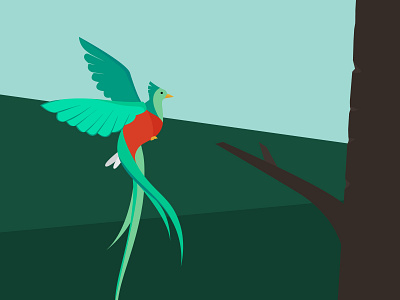 Quetzal (edit) bird flat design graphic design illustration landscape nature quetzal wildlife