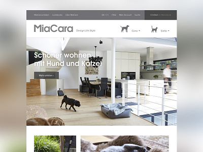 Miacara Redesign cats dogs e commerce photography product design shop