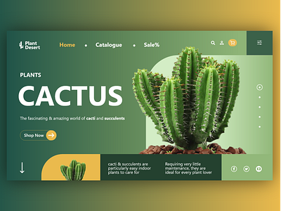 Cactus - A desert plant animation branding cactus desert design illustration indoor plant logo type typography ui ux vector webdesign website