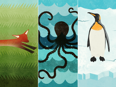 Fox, Octopus, Penguin fox octopus penguin texture