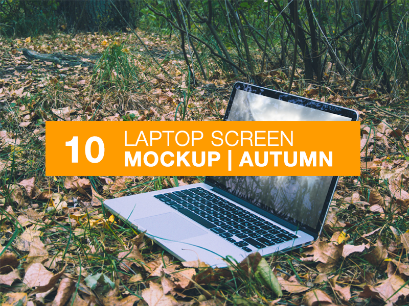 Laptop Screen Mockup | Autumn template mockups mock-ups mockup ios ipad apple psd mock-up