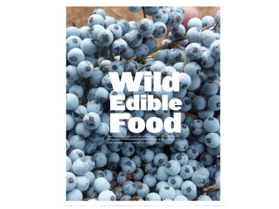 T&C magazine wildediblefood