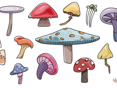 Mushrooms Illustration colorful doodles food foodillustration illustration mushrooms vector