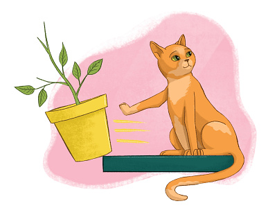 Cat Illustration