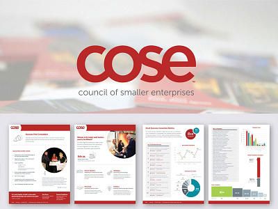 Cose Sales Kit brochure brochure design folder folder design sales sell sheets