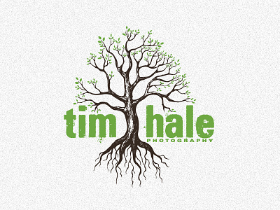 Tim Hale Photo Logo drew wallace logo photographer photography roots tim hale tree