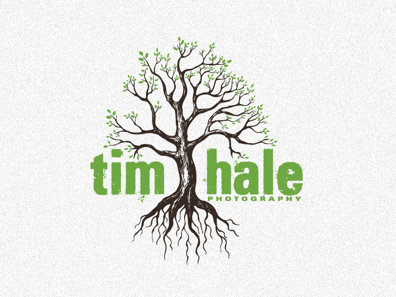 Tim Hale Photo Logo tim hale photographer logo drew wallace tree photography roots