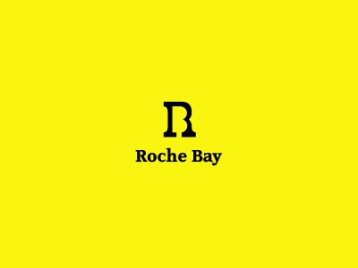 Rochebay logo branding clean construction design flat graphic design logo logotype mindaugas dudenas professional simple vector