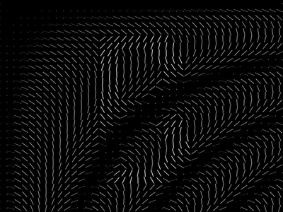Creative Coding ° B 36 days of type animation art b coding creative design generative graphics letter motion simple type typography