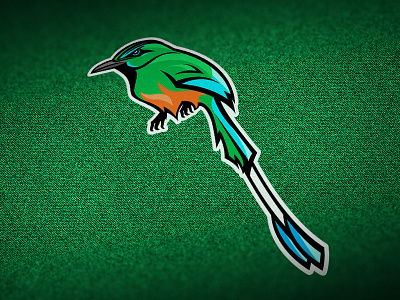 Guardabarrancos barranqueros draw green guardabarrancos illustration logo momótidos national bird nicaragua sport logo tail vector