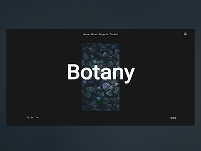 Botany graphicdesign landing page uidesign webdeveloper webpage website