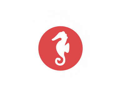 Seahorse delicate horse sea seahorse
