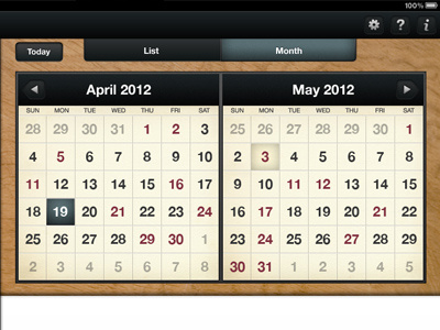 iPad App Calendar View