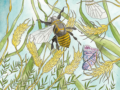 GMO ekologi gmo illustrated book illustration nature organic wasp watercolor