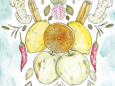 Fruits & spices apple chili food illustration fruit illustration fruits ginger illustrated book illustrated food lemon nature orange spices
