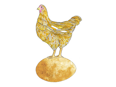 Chicken & egg chicken egg food food illustration illustration watercolor