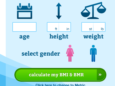 BMI & BMR Calculator bmi bmr form littleredletter