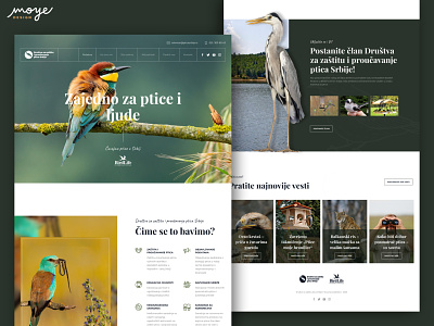 DZZPPS - Birds Website bird birdlife birds colorful design green moye moyedesign nature ui ui design website