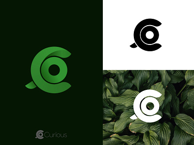 Curious Logo