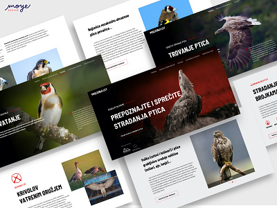 Poslednji let - The last flight bird website birds birdslife danger website moye moyedesign ui ui design ux