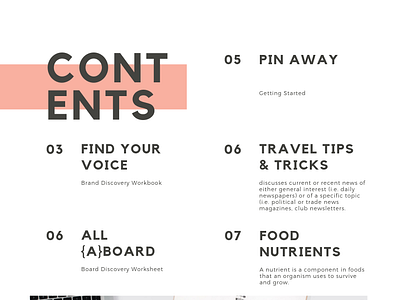 Pinterest Action Plan Table Of Contents branding design ebook design graphic design logo pdf pin design