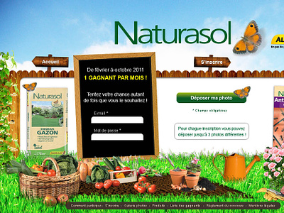 Compo Naturasol basket butterfly compo digital design earth ecologic fruits full flash game garden green naturasol official pictures products vegetables watering can web design website win