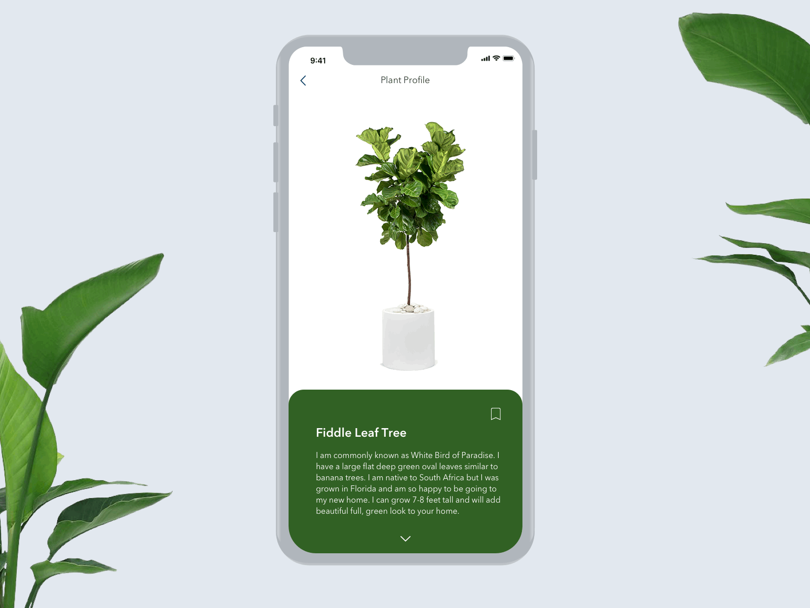 Day 6 - Profile 100daysofui animation app design green plants profiles ui ux