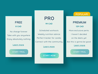 Daily UI Design Challenge 30: Pricing 100 day challenge calm dailyui design minimal pricing pricing page ui ux web