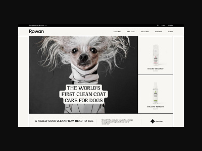 Rowan Homescreen Website