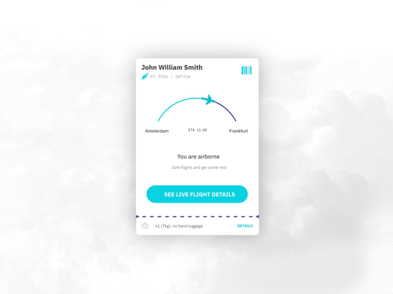 Flyly App - On Board airlines animation boardingpass concept datavisualisation interaction ios localisation mobile onboard product design statistics ticket ui