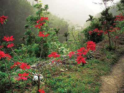 Taiwan