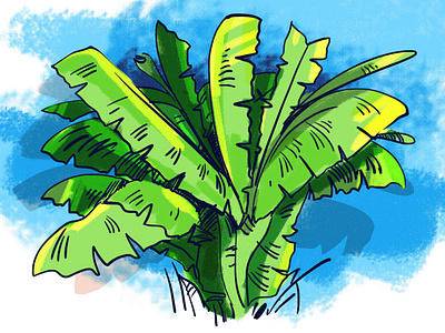 Banana Tree drawing