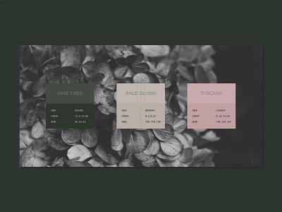 Color Palette art brand branding color color palette dark green design forest illustration nature pine vector