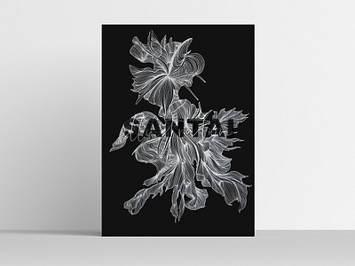 Abstract Series "Flower Shell" art black white black background design illustration linear lineardrawing linedrawing lines minimalistic postcard design poster santai illustration