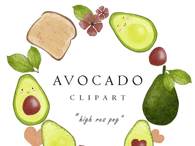 Watercolor Avocado Clipart Cute Pictures Set