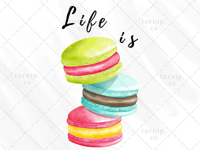 Life is Sweet Sublimation Macaroon Clipart Graphic art branding clipart cute design illustration macaroon clipart quote clipart sublimation clipart sweet clipart turnip watercolor clipart