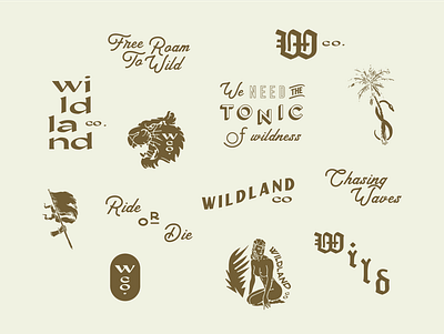 Wildland Type Explorations surf type lockups typography vintage wild wildland