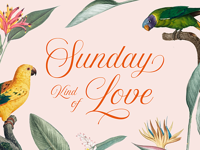 Sunday Kind of Love birds etta james floral lettering love script song sunday type typography
