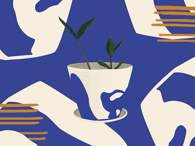 Planter ceramics digital illustration illustrator paint plant planter