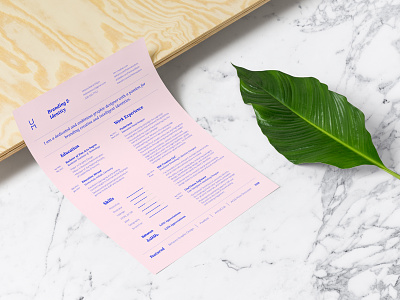 Full Resume design brand branding design identity portfolio print resume