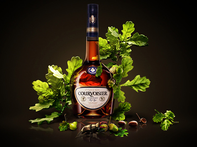 Courvoisier VS Cognac alcohol cognac courvoisier drink food leaf leaves oak still life vs