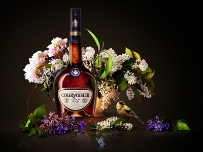 Courvoisier VS Cognac alcohol bird cognac courvoisier drink leaf leaves lilac snowdrop spring still life vs