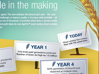 Wheat infographic3