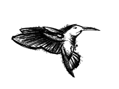 Bird1 bird black illustration